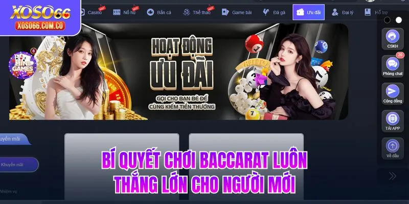 Bí quyết chơi Baccarat luôn thắng lớn cho người mới