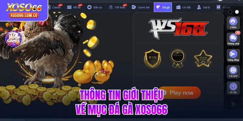 Thông tin giới thiệu về mục đá gà Xoso66 